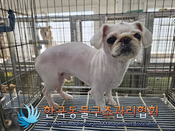 한국동물구조관리협회_441560202300960
