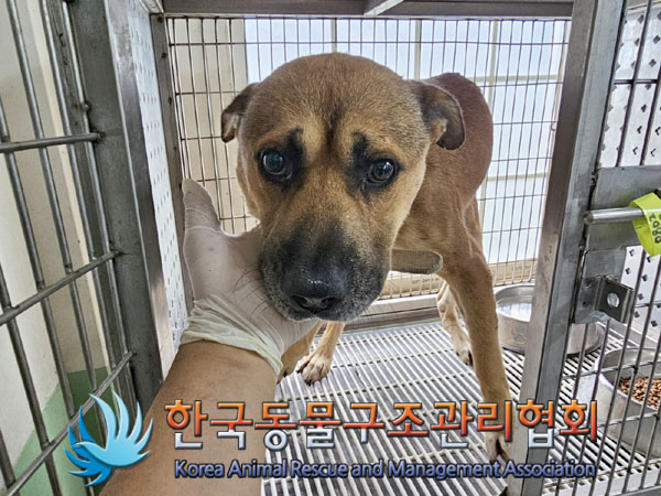 한국동물구조관리협회_441560202300961