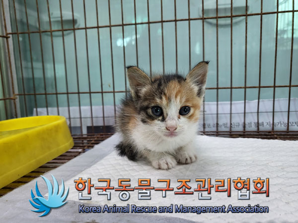 한국동물구조관리협회_411309202300308