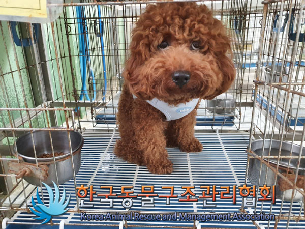 한국동물구조관리협회_411310202300349