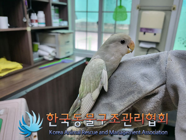 한국동물구조관리협회_411315202300496