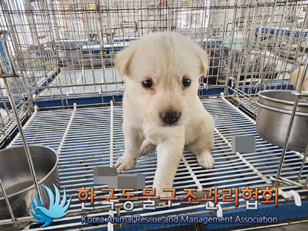 한국동물구조관리협회_411315202300494