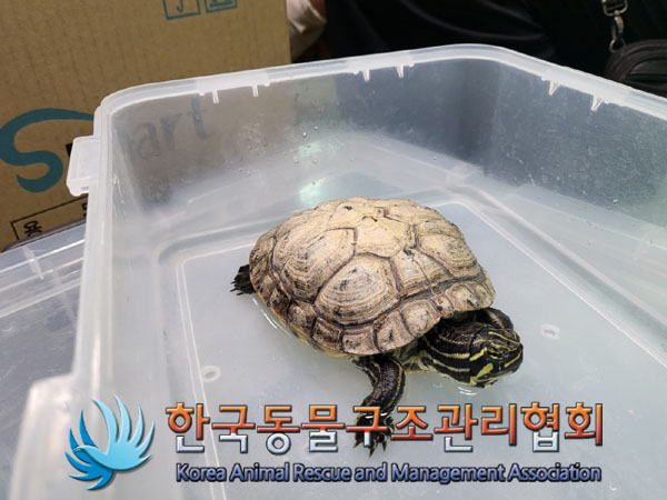 한국동물구조관리협회_411303202300348