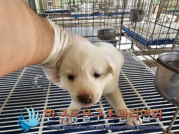 한국동물구조관리협회_411315202300495