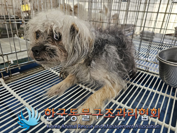 한국동물구조관리협회_411312202300497