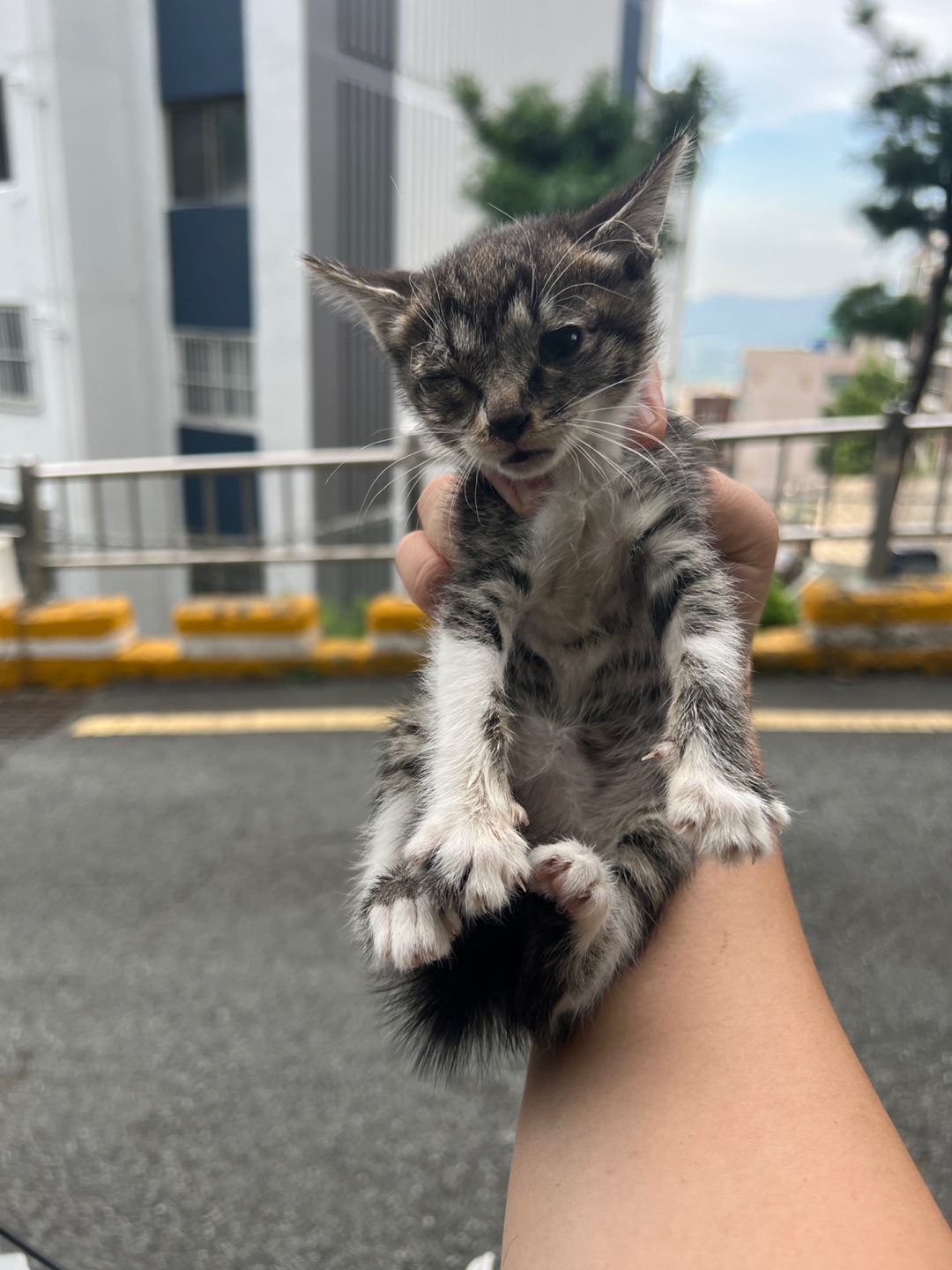 부산동물보호센터_426332202300427