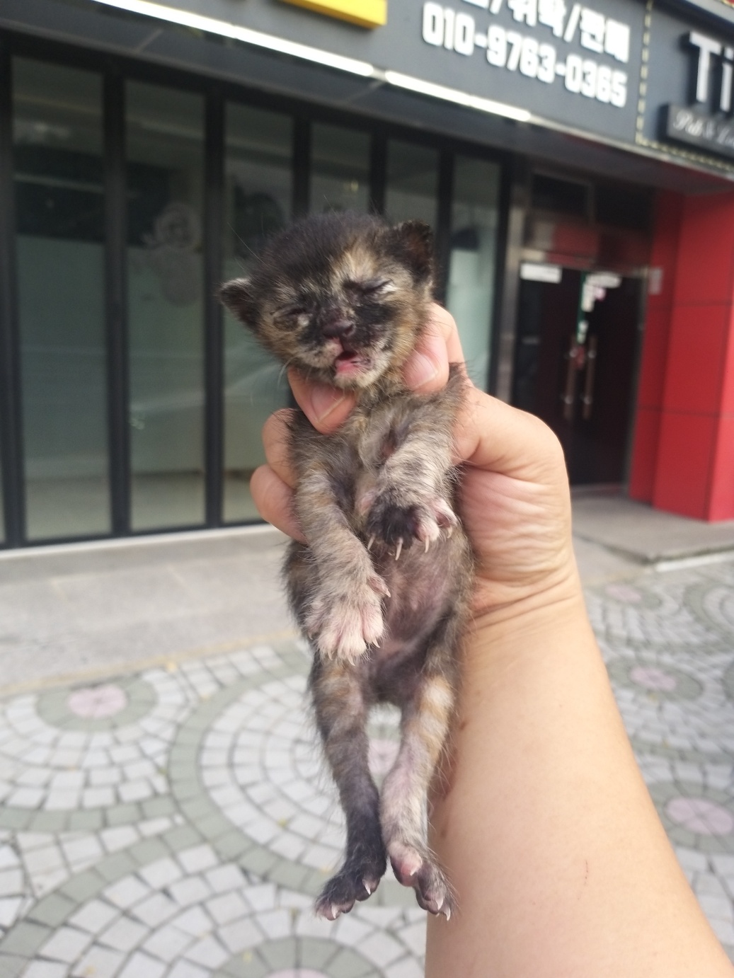 부산동물보호센터_426332202300426