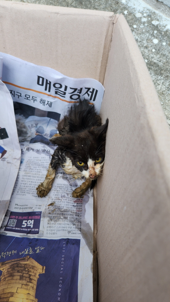 익산유기동물보호소_445468202301559