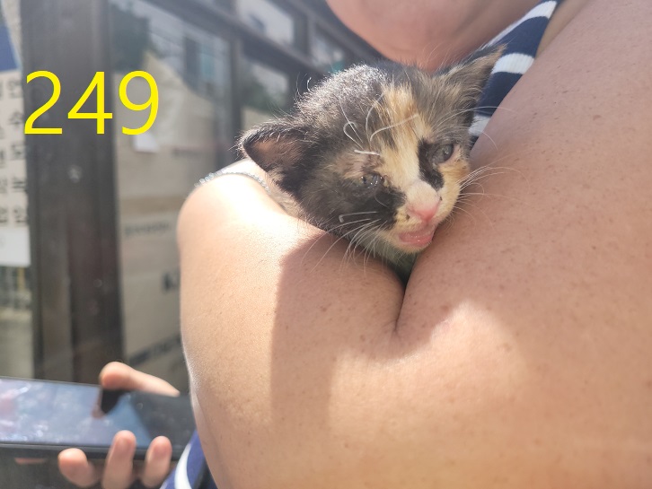 신영재동물병원_428355202300411