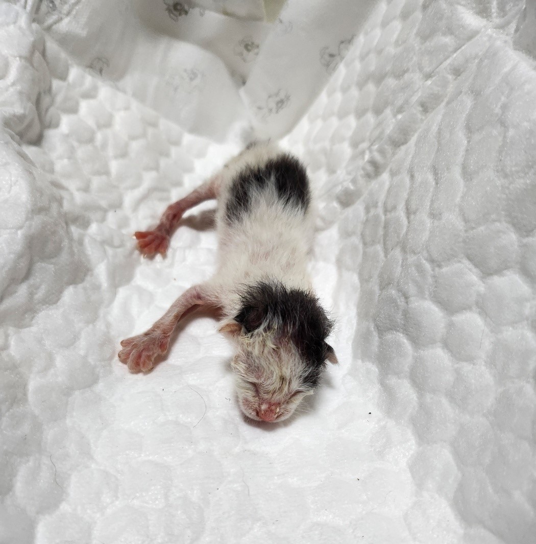 울산유기동물보호센터_431373202300859