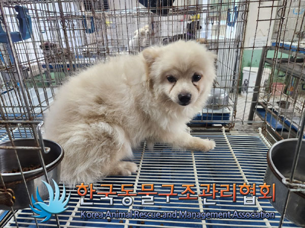 한국동물구조관리협회_411307202300293