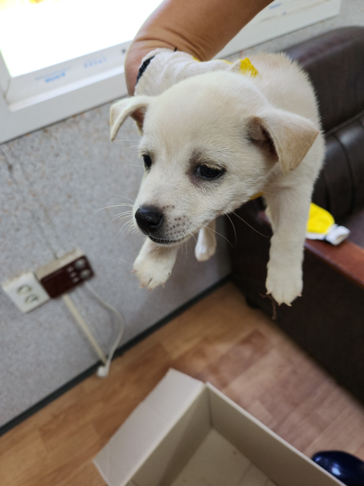 예천군유기동물보호소_447523202300410