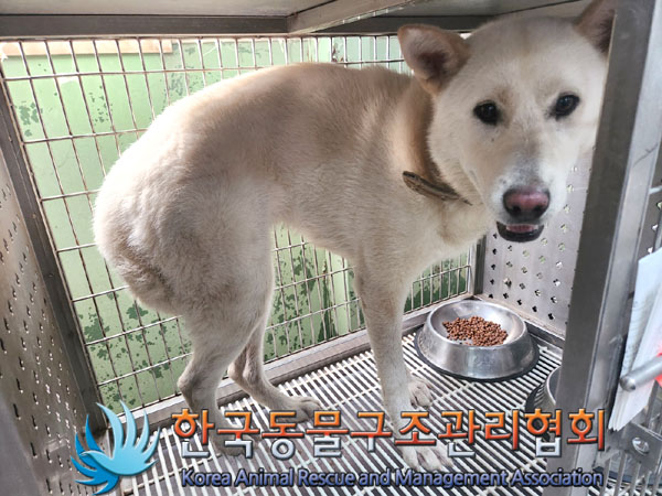 한국동물구조관리협회_411324202300462