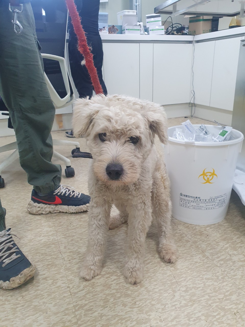 남양주시동물보호센터_441399202301976