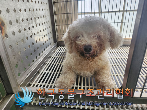 한국동물구조관리협회_411323202300745