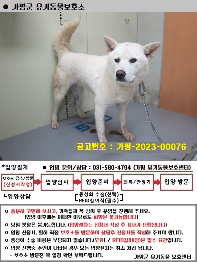 가평군유기동물보호소_441416202300331