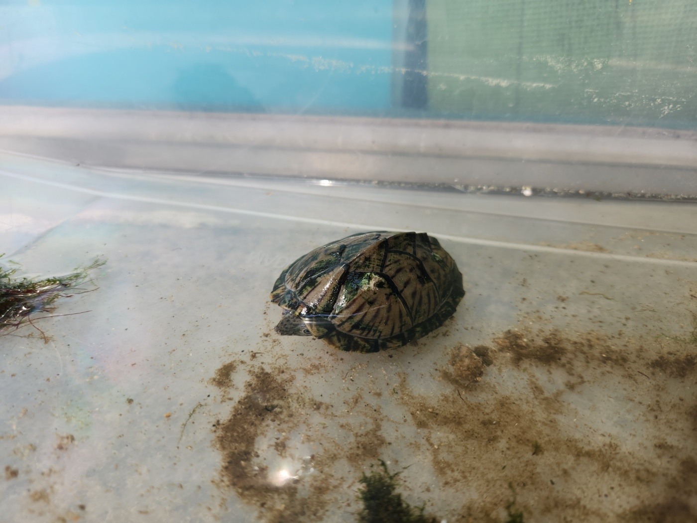 광주 동물보호소_429361202300341
