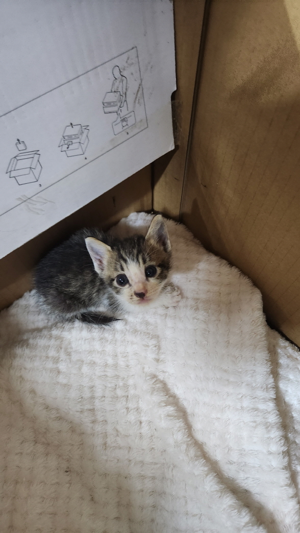 익산유기동물보호소_445468202301570