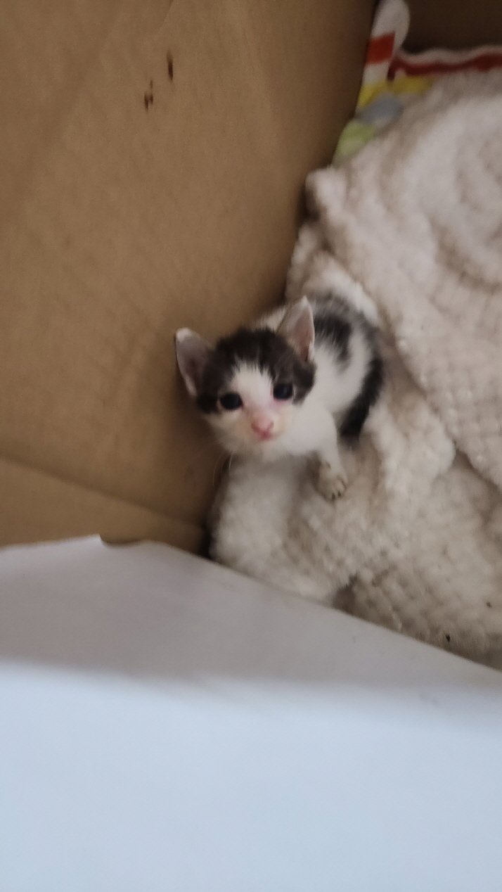 익산유기동물보호소_445468202301569