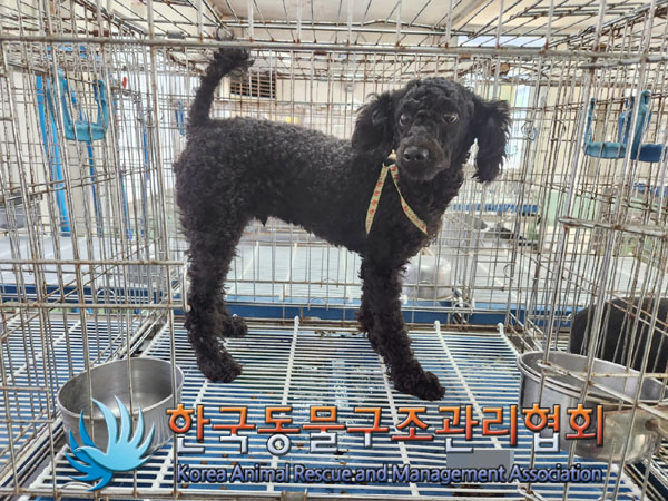 한국동물구조관리협회_411311202300629