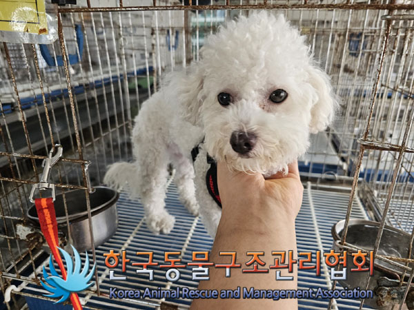 한국동물구조관리협회_411306202300513