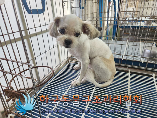 한국동물구조관리협회_411318202300319