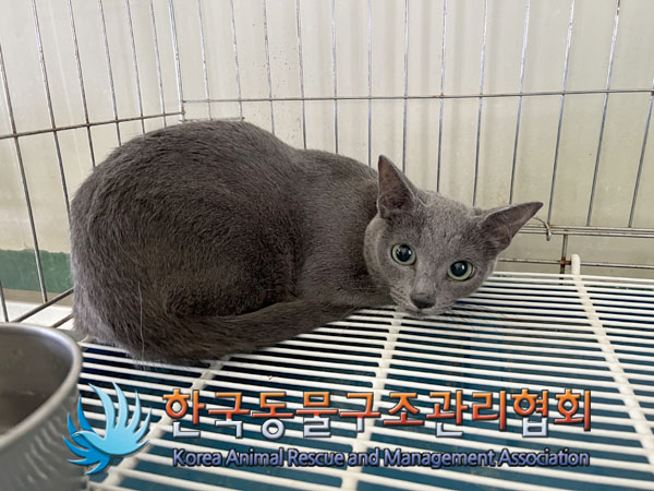 한국동물구조관리협회_411312202300500