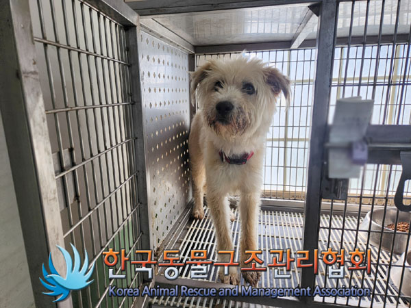 한국동물구조관리협회_441560202300963