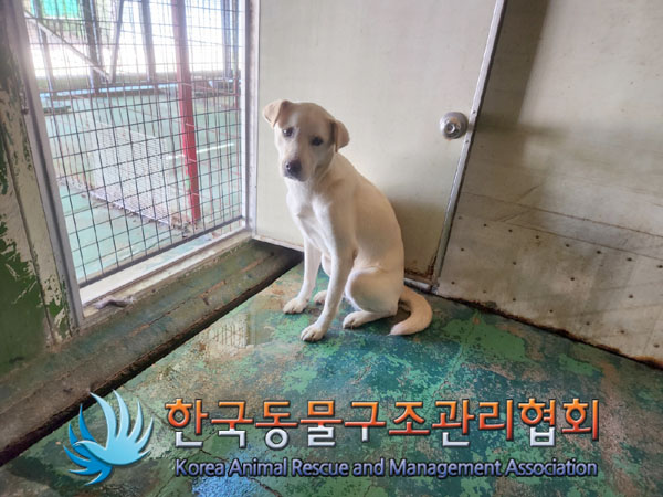 한국동물구조관리협회_441406202301140