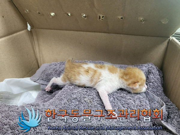 한국동물구조관리협회_441409202301267