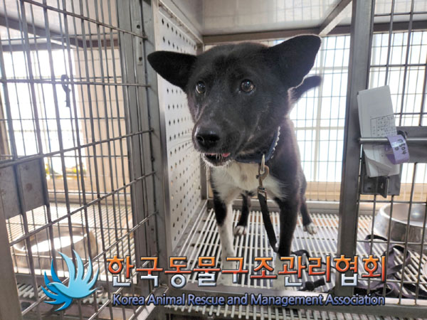 한국동물구조관리협회_441409202301266