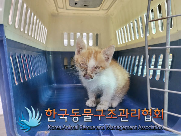 한국동물구조관리협회_411307202300295