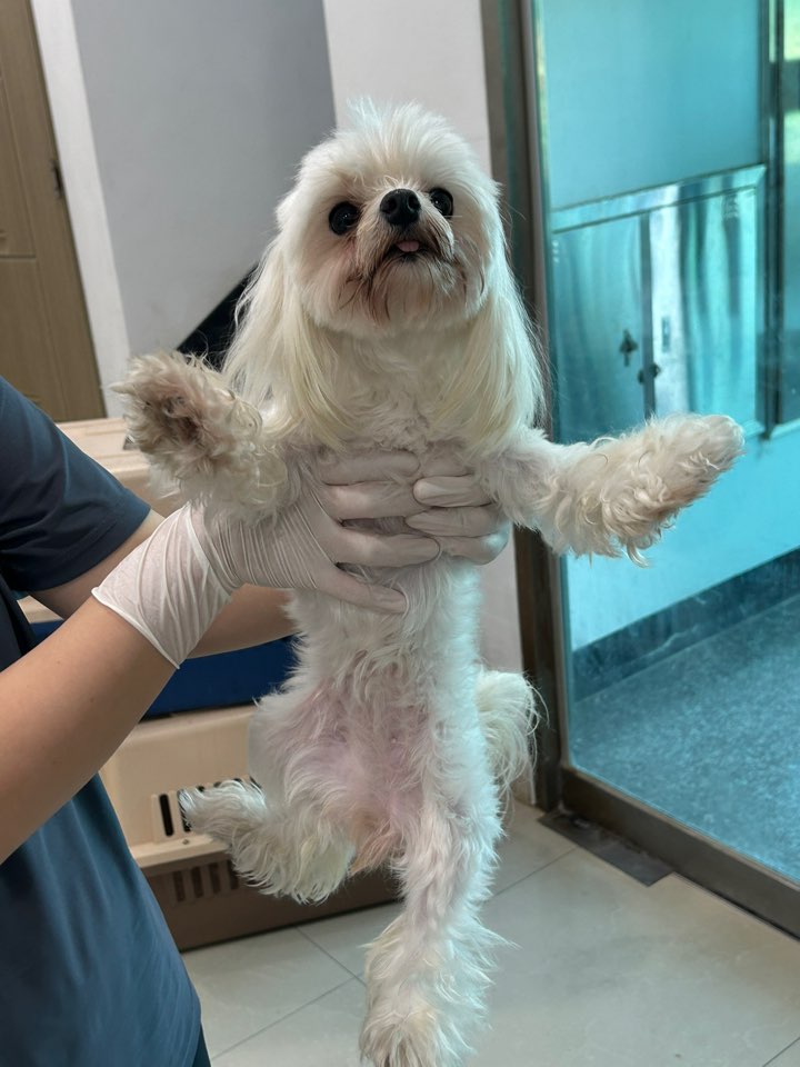 반려동물보호센터_443571202301945