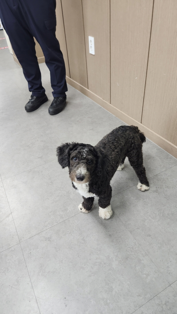 익산유기동물보호소_445468202301575