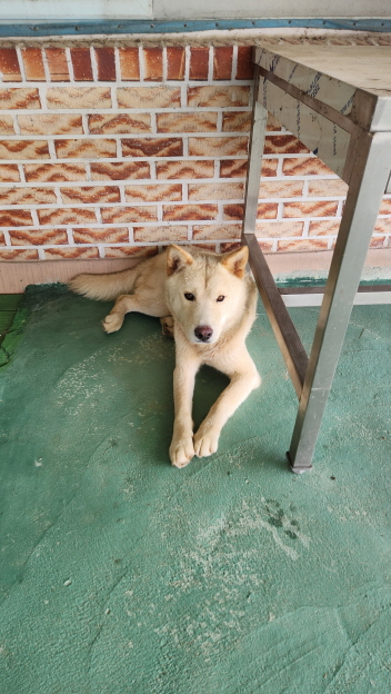 익산유기동물보호소_445468202301579