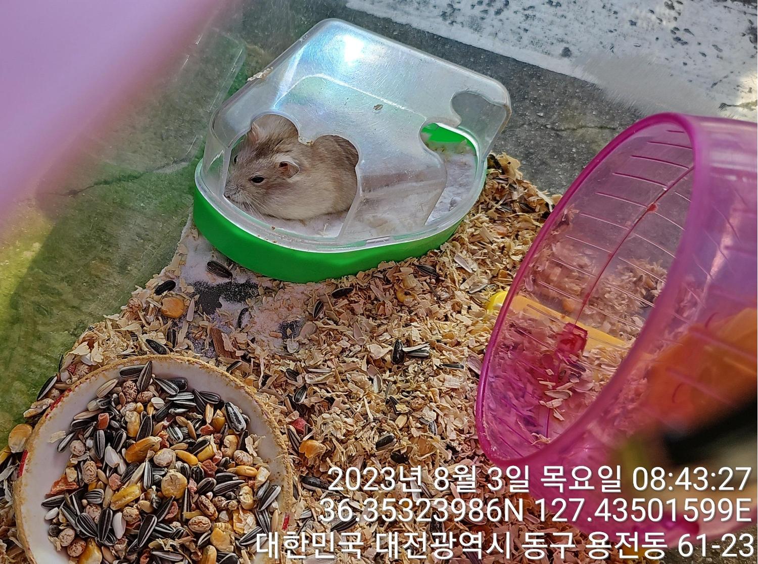 대전동물보호센터_430364202300251