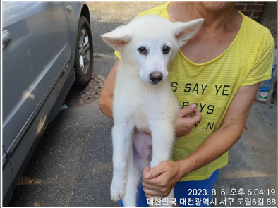 대전동물보호센터_430366202300475