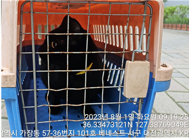 대전동물보호센터_430366202300470