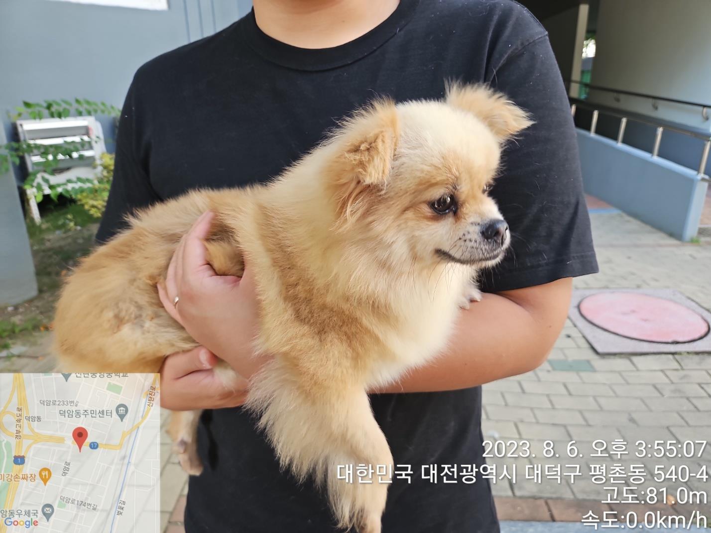 대전동물보호센터_430368202300387