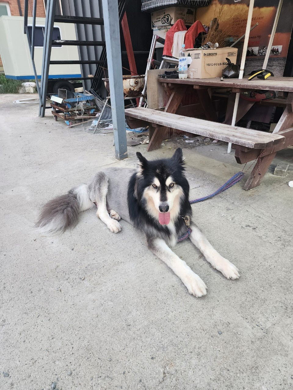 아산동물복지지원센터_444452202301573