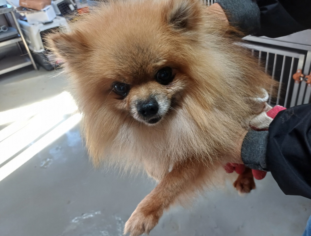 제일동물병원_444455202300260