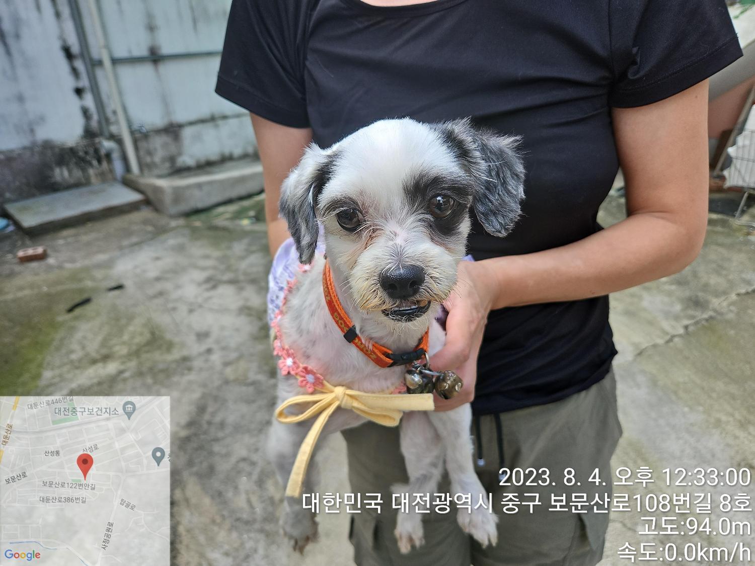 대전동물보호센터_430365202300367