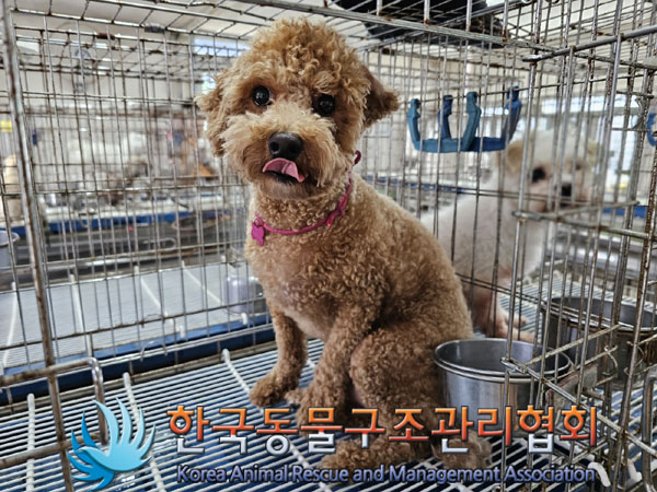한국동물구조관리협회_411318202300320