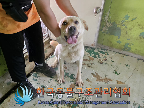 한국동물구조관리협회_441409202301270