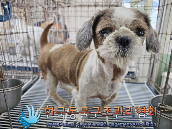 한국동물구조관리협회_441409202301268