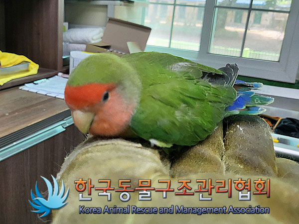 한국동물구조관리협회_411307202300296