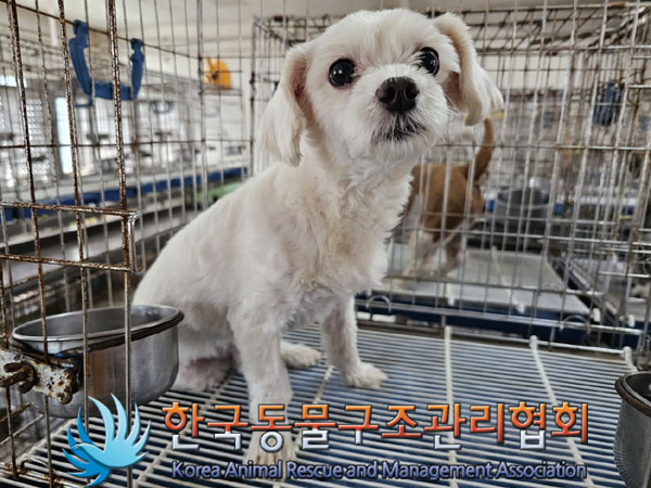 한국동물구조관리협회_411316202300525