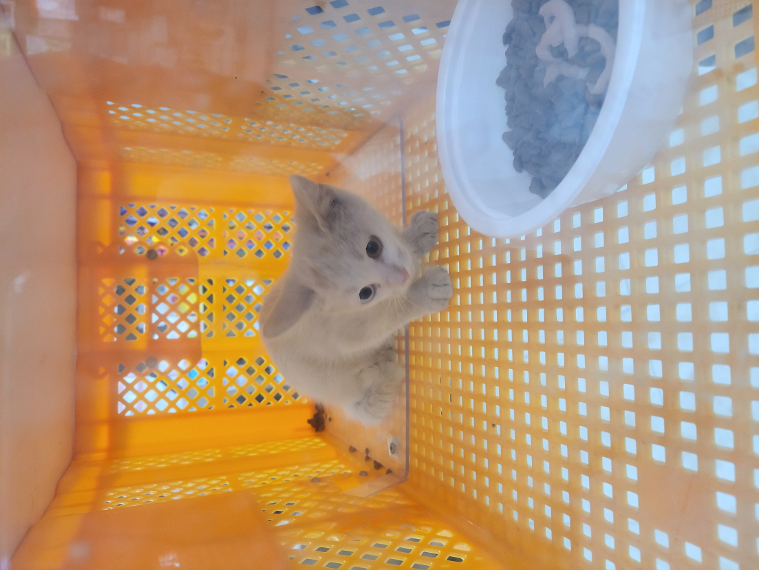둔촌동물병원_411324202300465