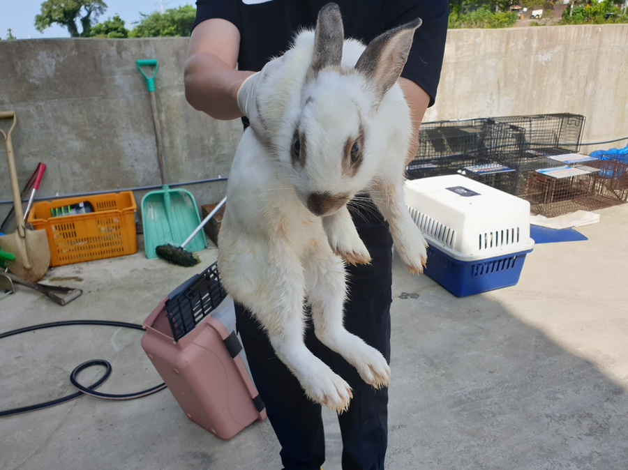 제주에니멀119(주)_450651202301754