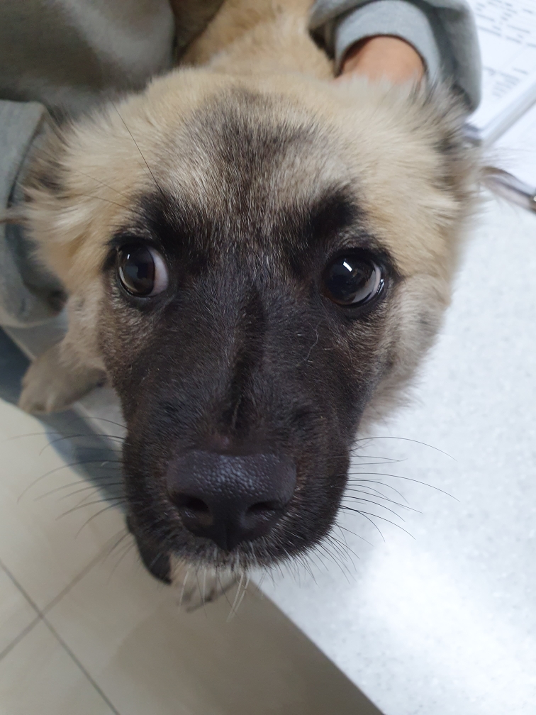 최종주동물병원_443444202300422